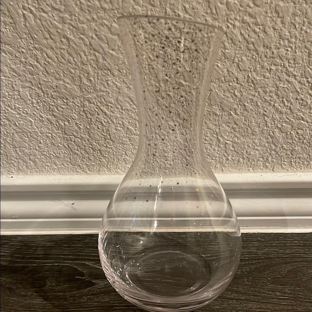 Elegant Clear Glass Vase